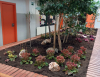 El servei de jardineria realitza millores a l&#039;Escola Can Roca